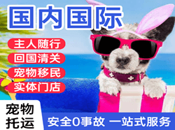 阿拉善航空快递国际宠物托运 【国
